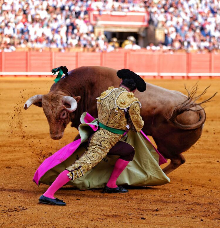 Una tarde inédita la vivida en la Real de la Maestranza, gracias a Morante De la Puebla. Foto: JLMNoticias / Especial / Memo Leal.
