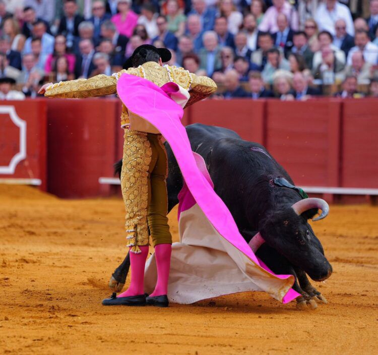 Morante de la Puebla 8