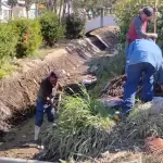 Municipio refuerza limpieza del canal en colonia La Estrella jlmnoticias