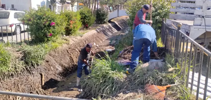 Municipio refuerza limpieza del canal en colonia La Estrella jlmnoticias