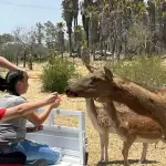 Parque Rodolfo Landeros prepara festejo del Día del Niño 1