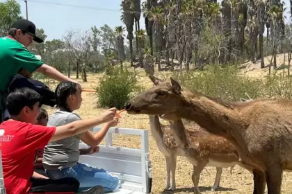 Parque Rodolfo Landeros prepara festejo del Día del Niño 1