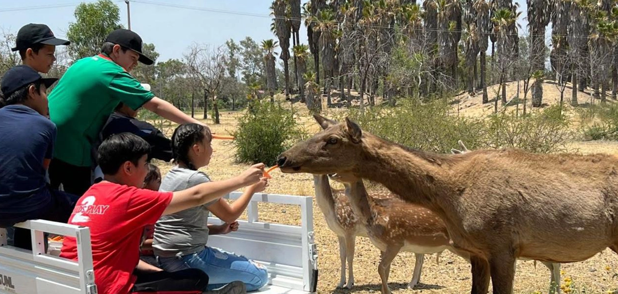 Parque Rodolfo Landeros prepara festejo del Día del Niño 1