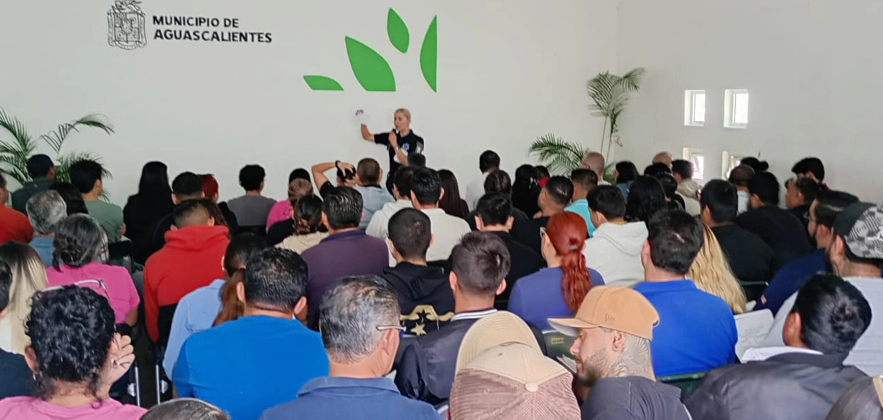Nueva jornada de renovar la licencia de conducir en Aguascalientes