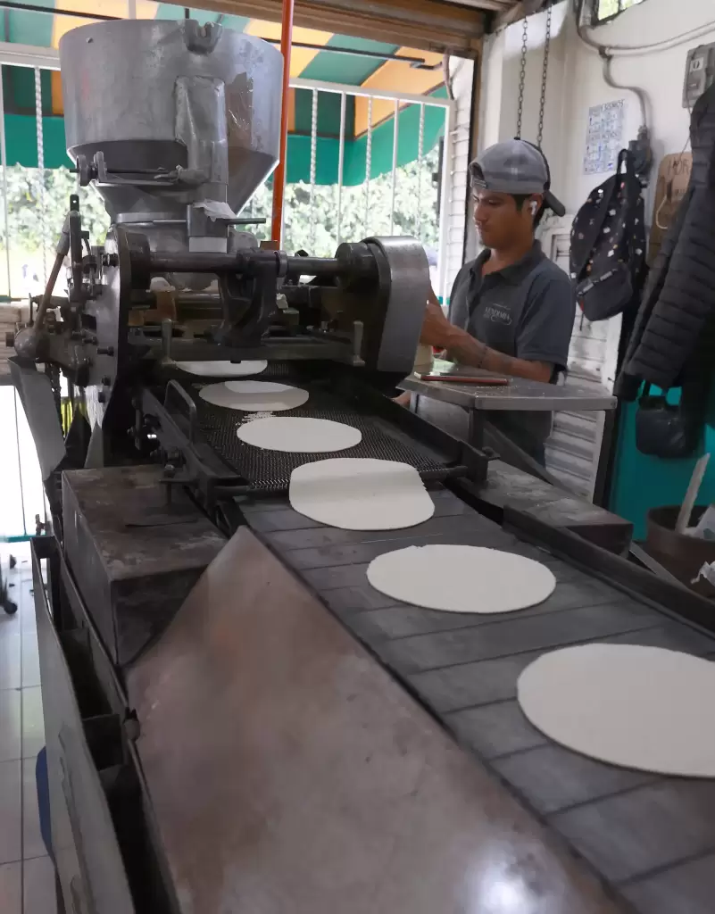 Proceso de elaboración de la tortilla 