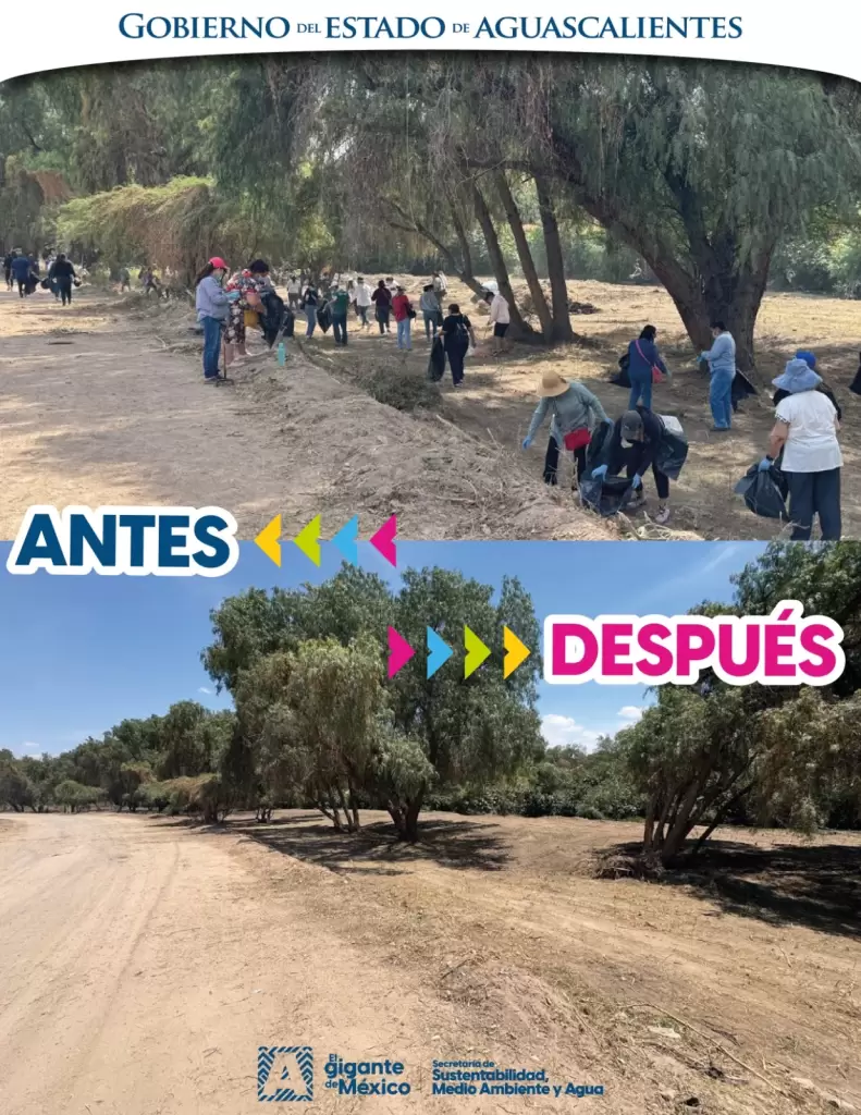 Rio San Pedro muestra avances con limpieza historica JLMNoticias 10