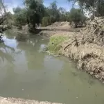 Río San Pedro muestra avances con limpieza histórica JLMNoticias