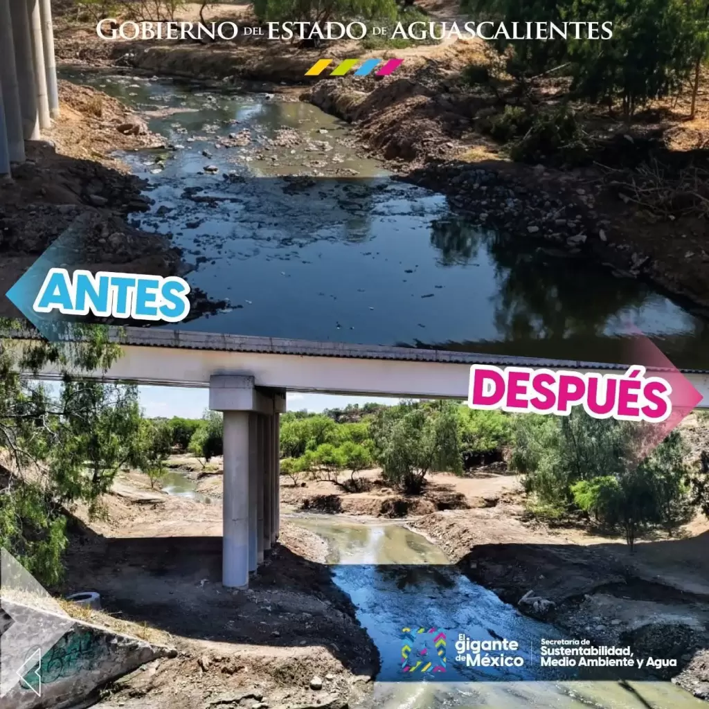 Rio San Pedro muestra avances con limpieza historica JLMNoticias 3