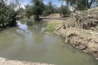 Río San Pedro muestra avances con limpieza histórica JLMNoticias