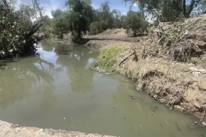 Río San Pedro muestra avances con limpieza histórica JLMNoticias