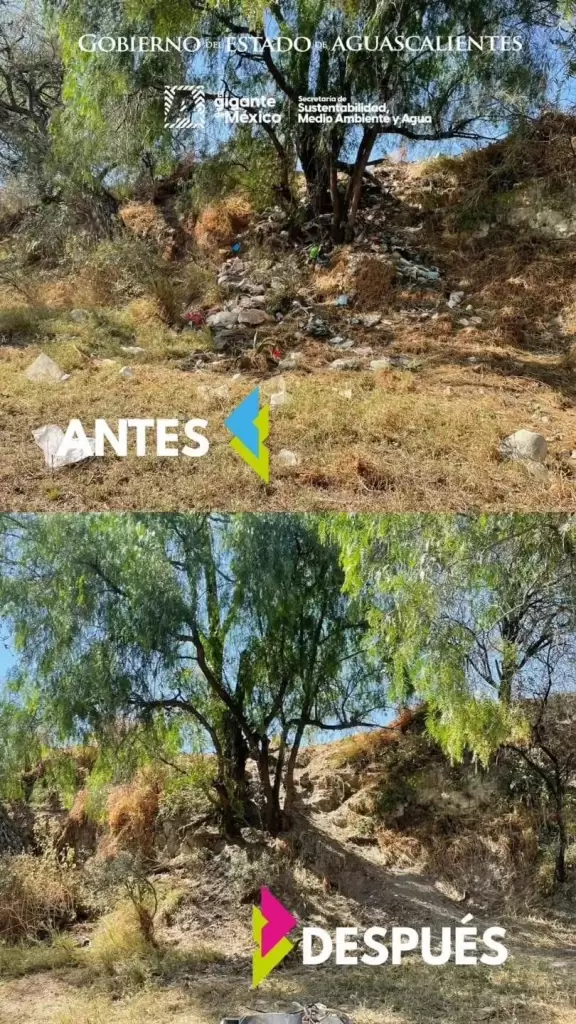 Rio San Pedro muestra avances con limpieza historica JLMNoticias 7