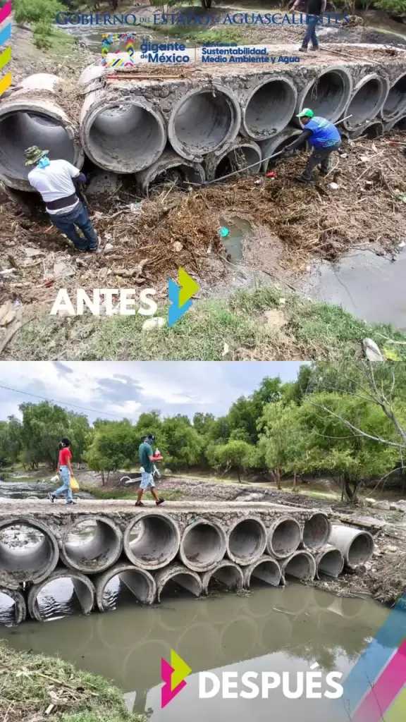 Rio San Pedro muestra avances con limpieza historica JLMNoticias 8