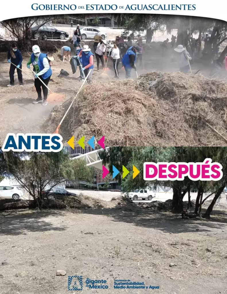 Rio San Pedro muestra avances con limpieza historica JLMNoticias 9