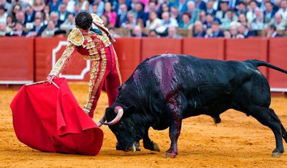 Víctor Hernández fue el triunfador con la única oreja y viene a torear a San Marcos próximamente.