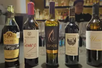 Vino de Aguascalientes gana reconocimiento internacional