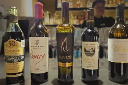 Vino de Aguascalientes gana reconocimiento internacional