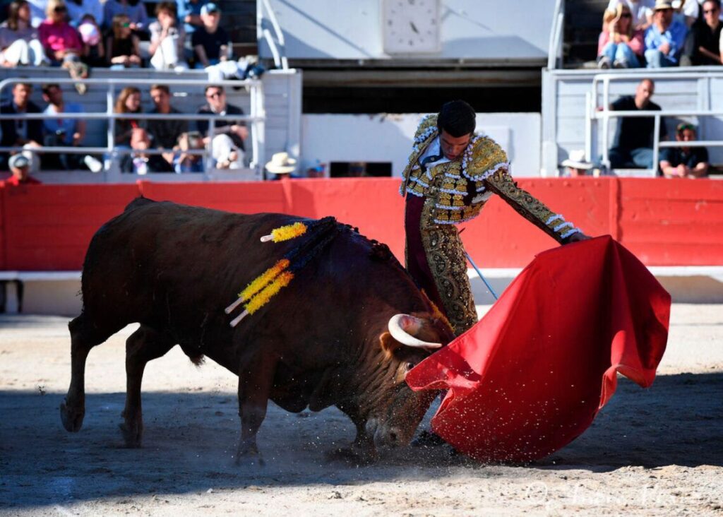 Templados naturales logró Emilio de Justo en su primera tarde del año en Francia.