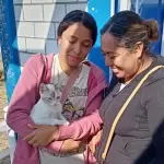 Esterilización gratuita para gatos y perros