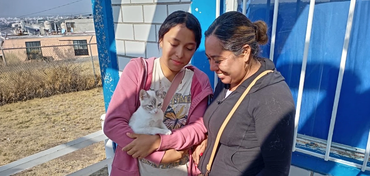 Esterilización gratuita para gatos y perros