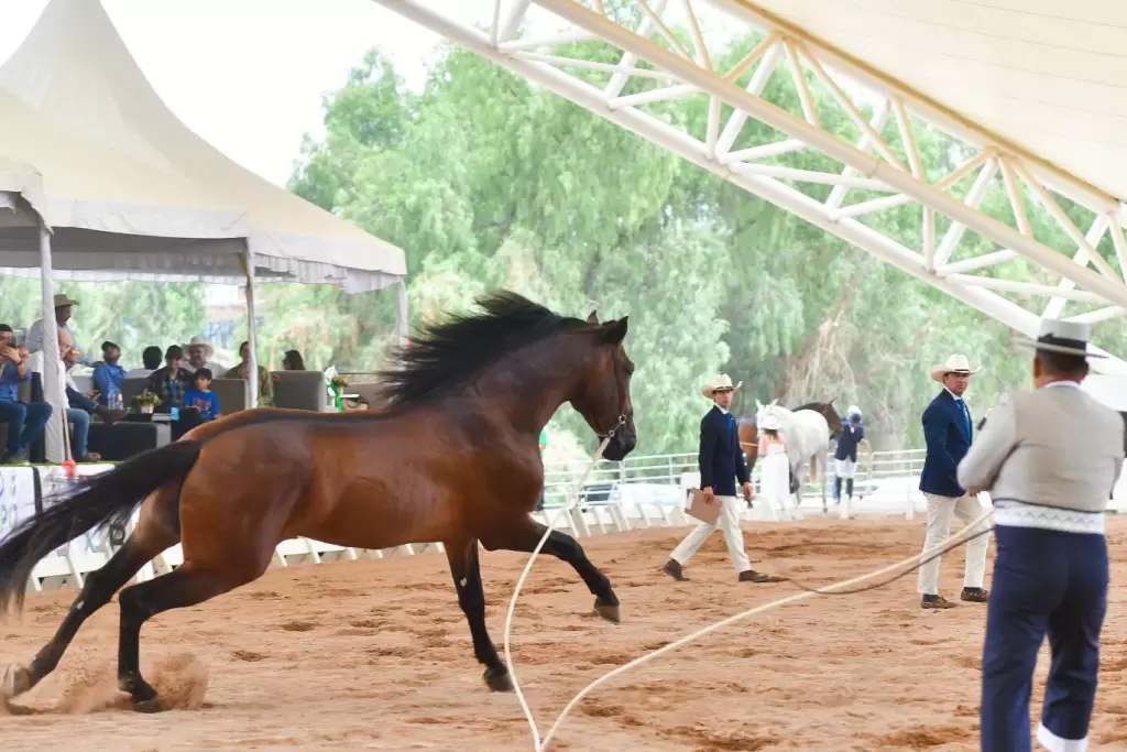 Expo Campo 2026 recibe certificación internacional sustentable