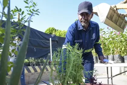 Municipio de Aguascalientes- donación de plantas y árboles