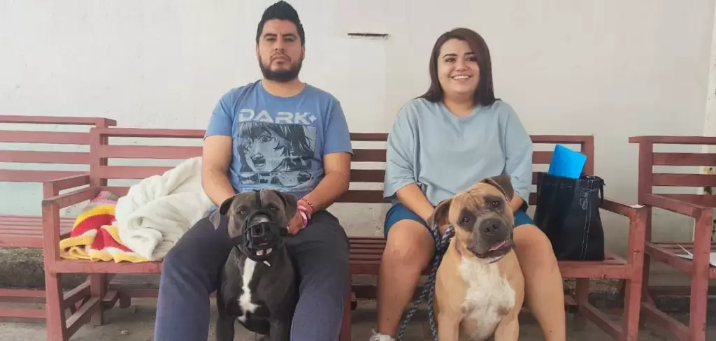 Municipio de Aguascalientes- jornadas de esterilización gratuita