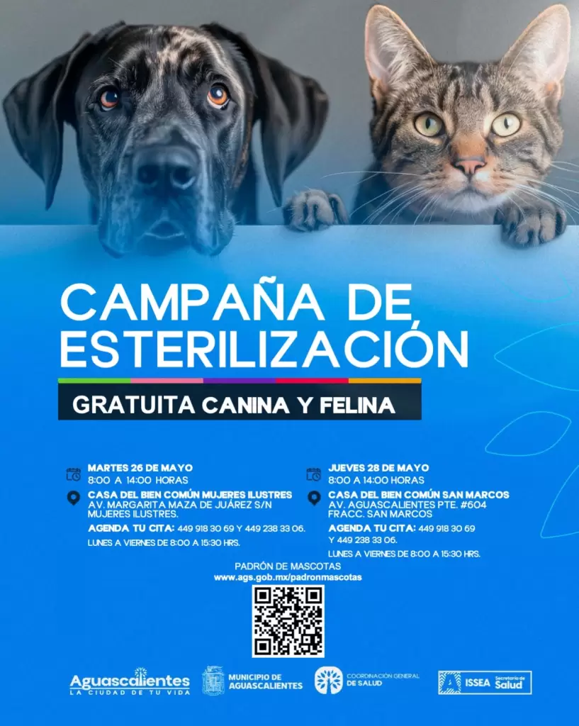Municipio de Aguascalientes- jornadas de esterilización gratuita 2