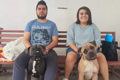 Municipio de Aguascalientes- jornadas de esterilización gratuita