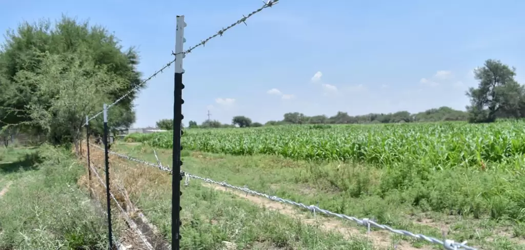 Productores de Aguascalientes- equipamiento agrícola con subsidio