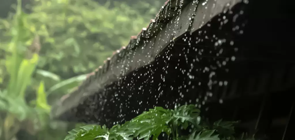 Cuatro formas de recolectar el agua de lluvia de manera eficiente