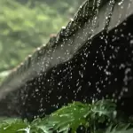 Cuatro formas de recolectar el agua de lluvia de manera eficiente