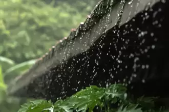 Cuatro formas de recolectar el agua de lluvia de manera eficiente