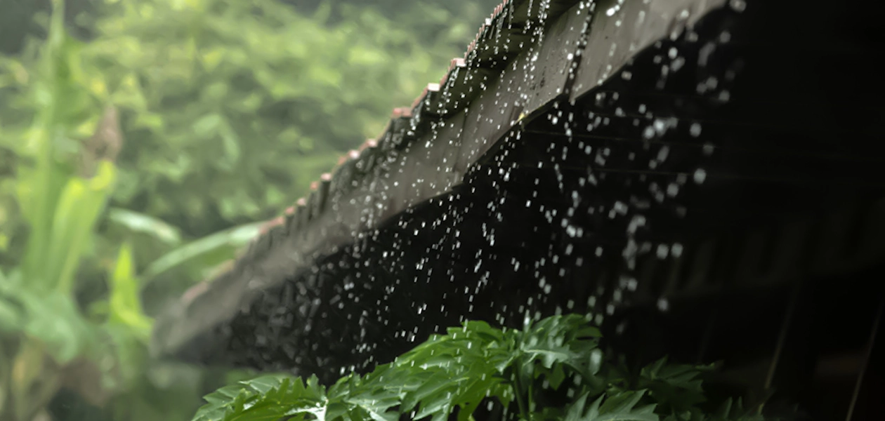 Cuatro formas de recolectar el agua de lluvia de manera eficiente