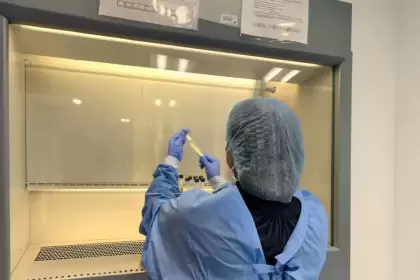 De la curiosidad al diagnóstico: La trayectoria de Elva Rodríguez en la química