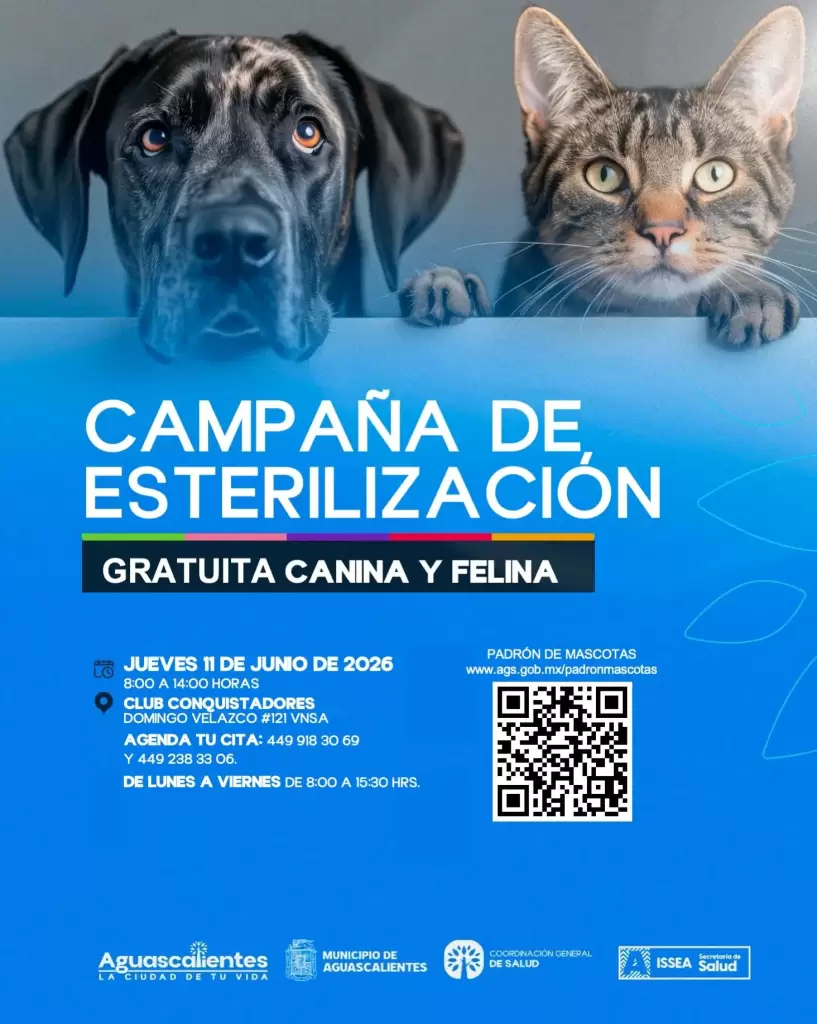 Esterilizacion-de-perros-y-gatos-en-VNSA-2026-2