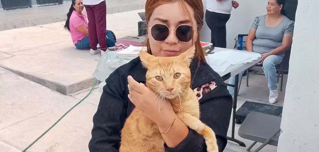 Esterilización gratuita 90 espacios para mascotas