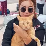Esterilización gratuita 90 espacios para mascotas