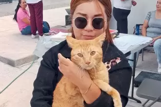 Esterilización gratuita 90 espacios para mascotas