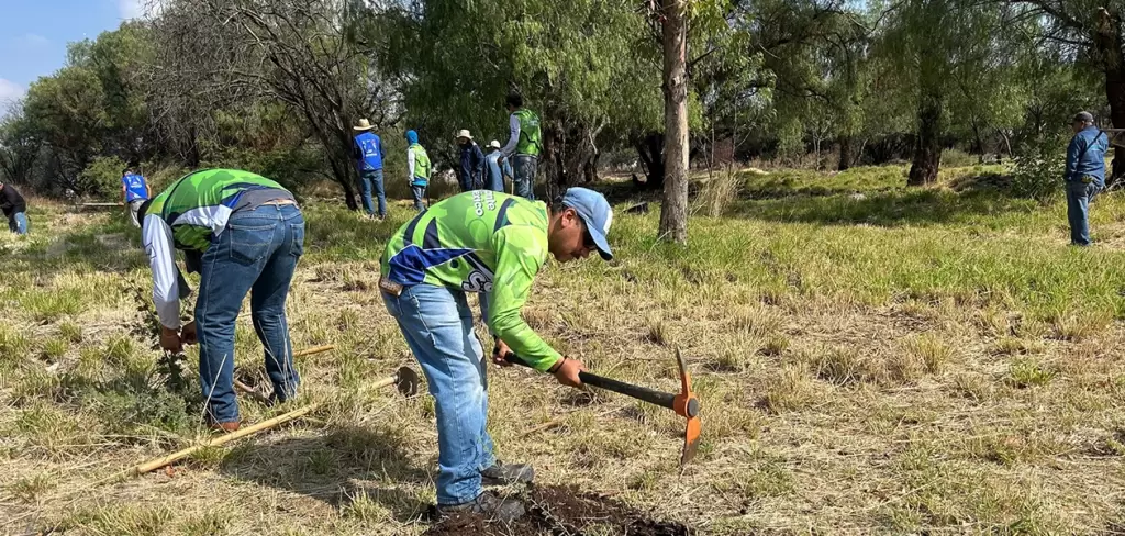 Jornada de limpieza en “La Pona”