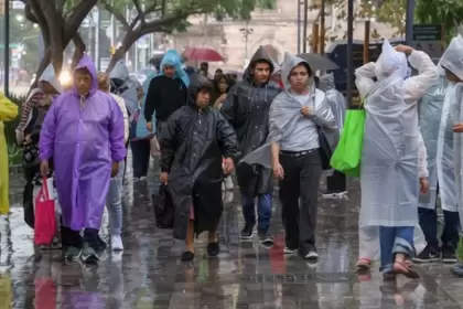 Cinco enfermedades causadas por el agua de lluvia