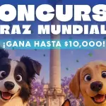 Mascotas participarán por 10 mil pesos en concurso de disfraces en Plaza Patria