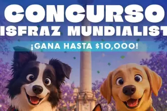 Mascotas participarán por 10 mil pesos en concurso de disfraces en Plaza Patria