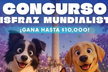 Mascotas participarán por 10 mil pesos en concurso de disfraces en Plaza Patria