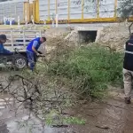 Municipio de Aguascalientes refuerza atención por lluvias en colonias y vialidades