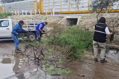 Municipio de Aguascalientes refuerza atención por lluvias en colonias y vialidades