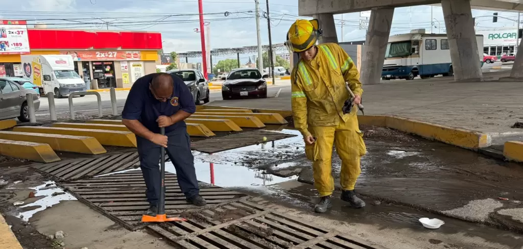 Municipio refuerza limpieza de caimanes por lluvias 2026