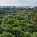 Aprueban el rescate de “La Pona” y la declaran Área Natural Protegida