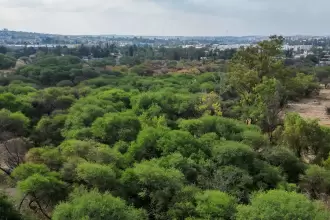 Aprueban el rescate de “La Pona” y la declaran Área Natural Protegida