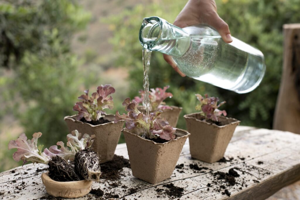 Usos del agua de lluvia
