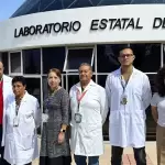 Aguascalientes combate el dengue con mosquitos con Wolbachia